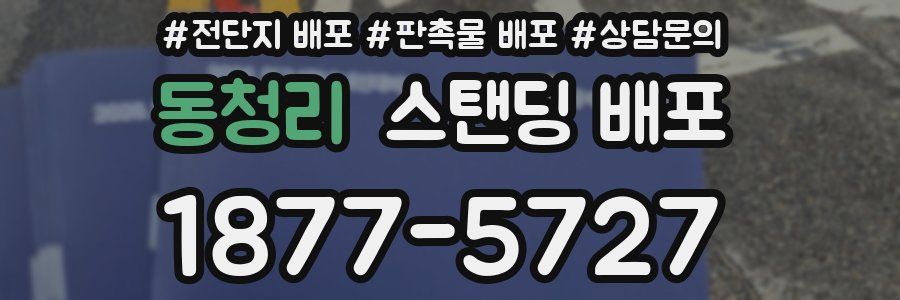 동청리 스탠딩 배포