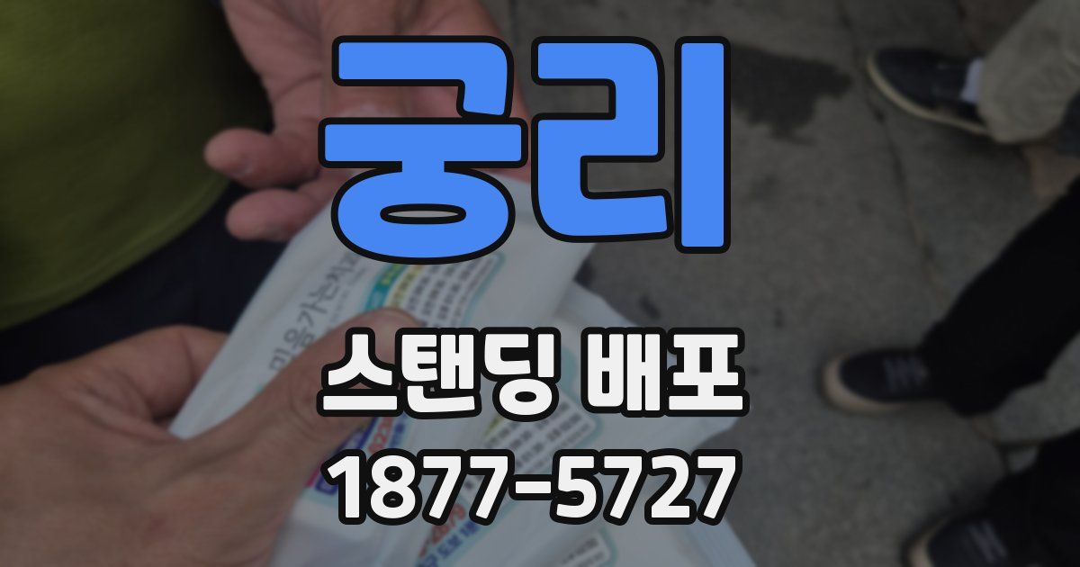 궁리 스탠딩 배포