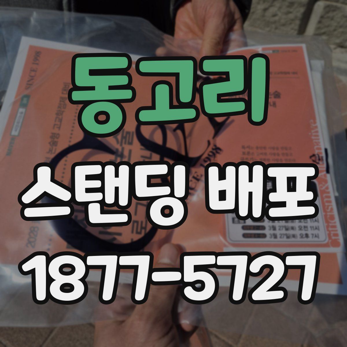 동고리 스탠딩 배포