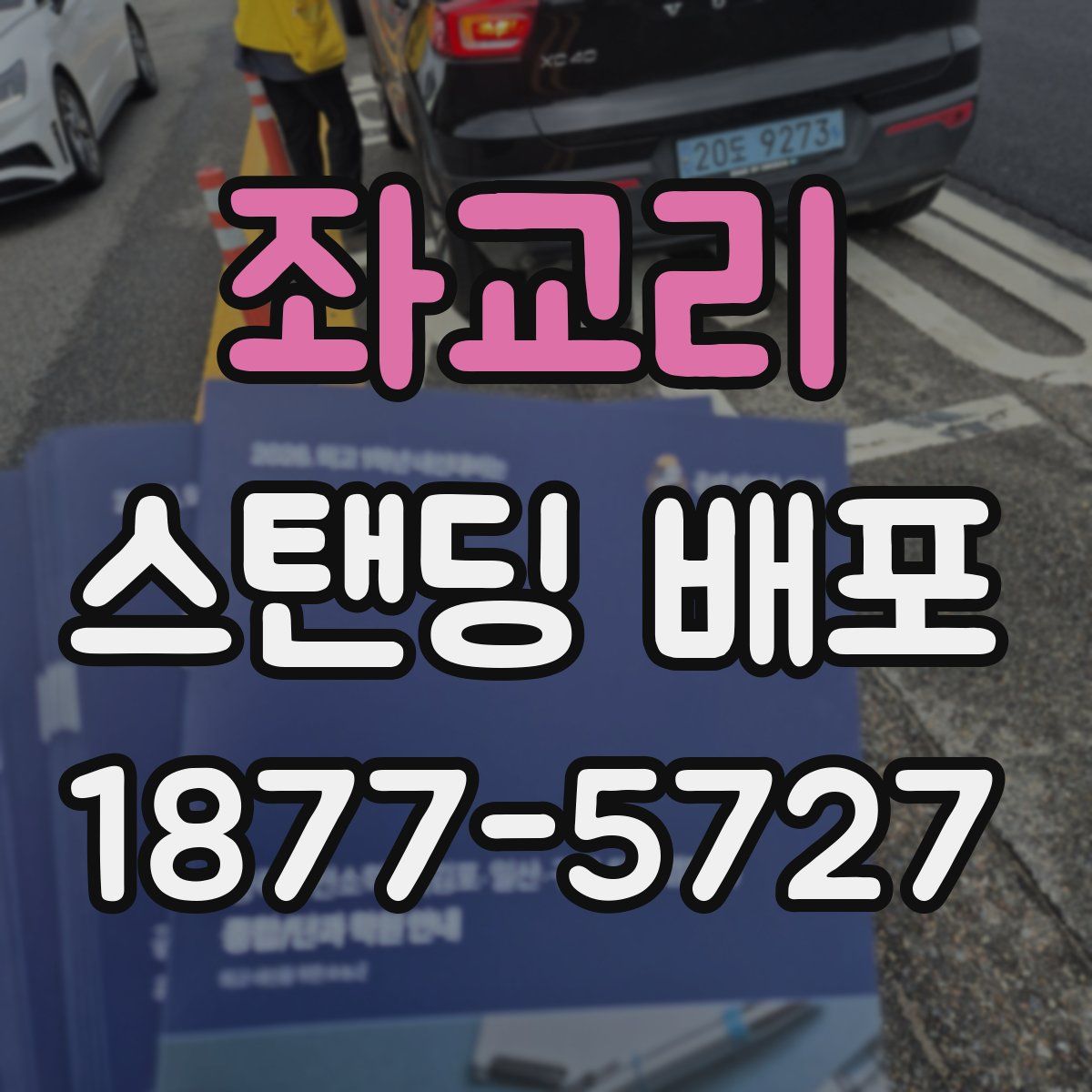좌교리 스탠딩 배포