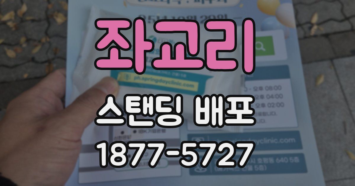 좌교리 스탠딩 배포