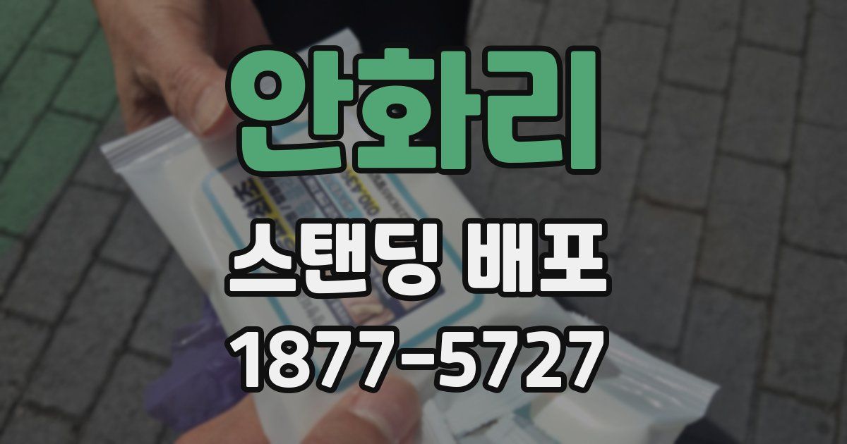 안화리 스탠딩 배포