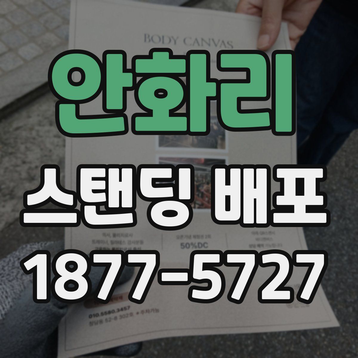 안화리 스탠딩 배포