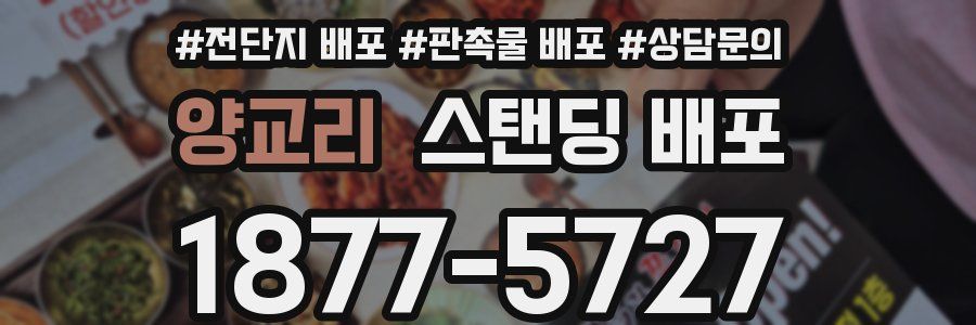 양교리 스탠딩 배포