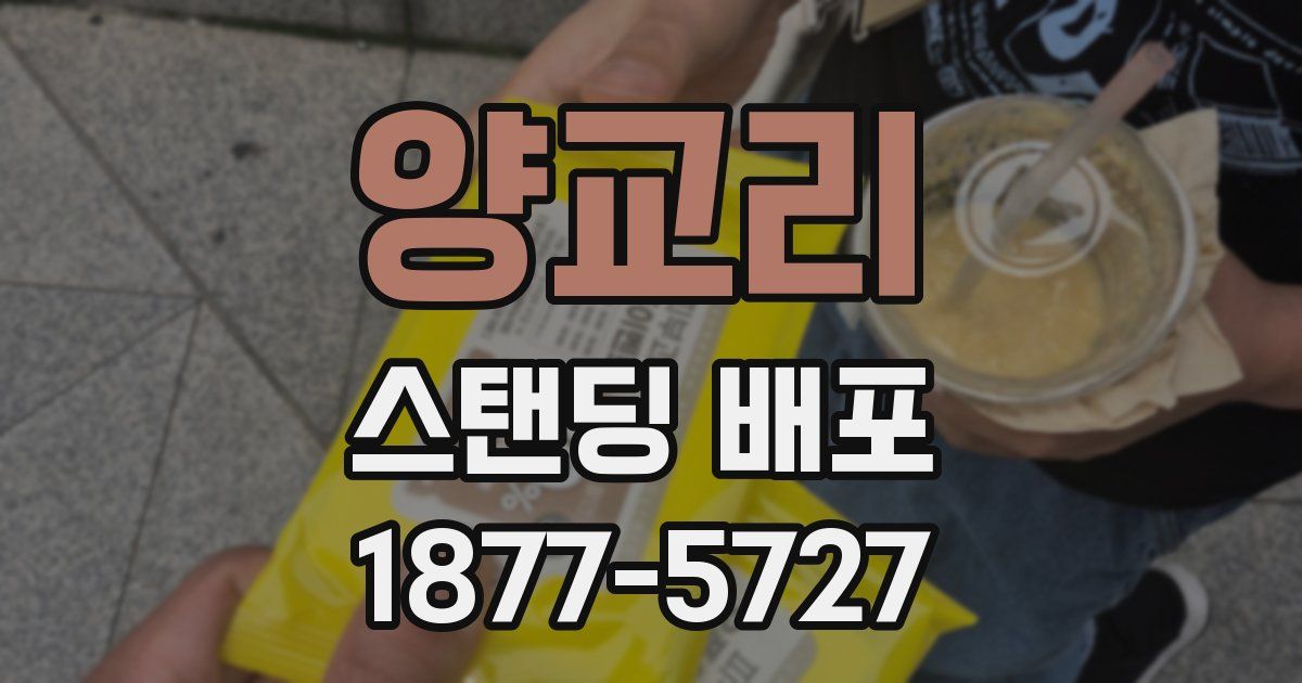 양교리 스탠딩 배포
