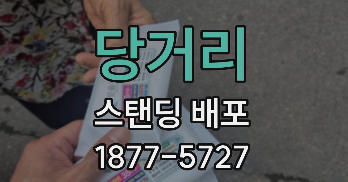 당거리 스탠딩 배포