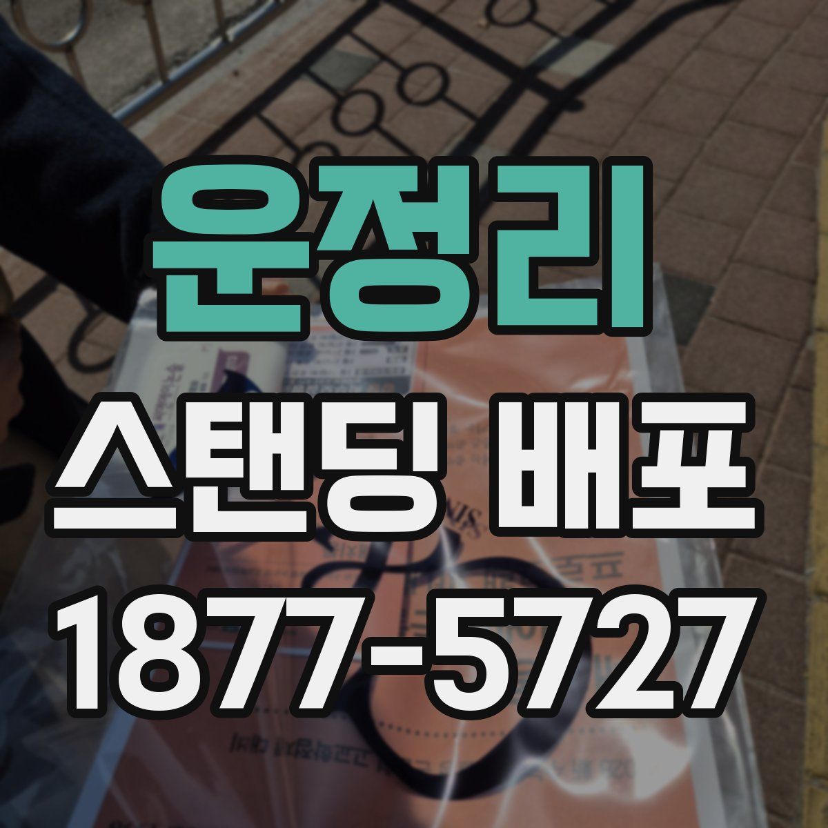 운정리 스탠딩 배포