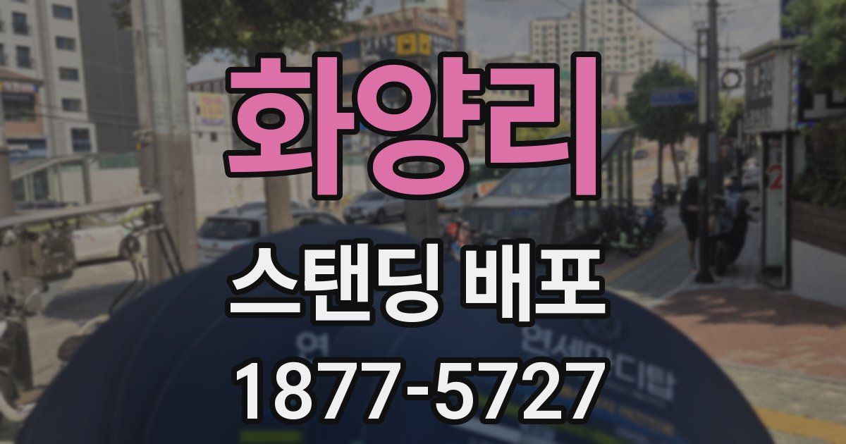 화양리 스탠딩 배포