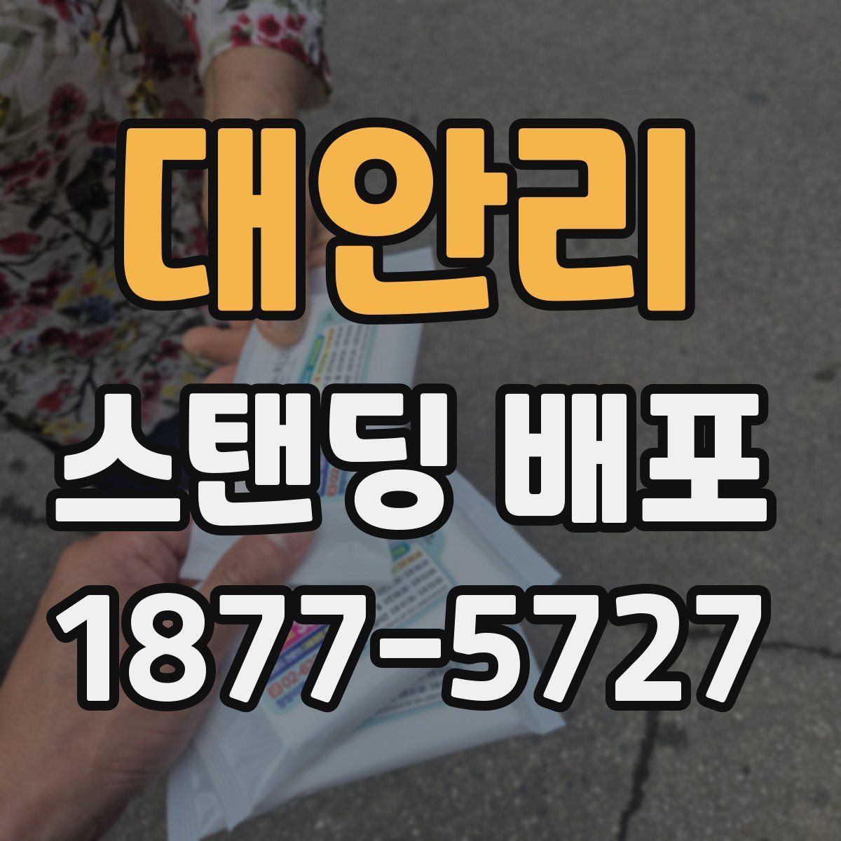 대안리 스탠딩 배포