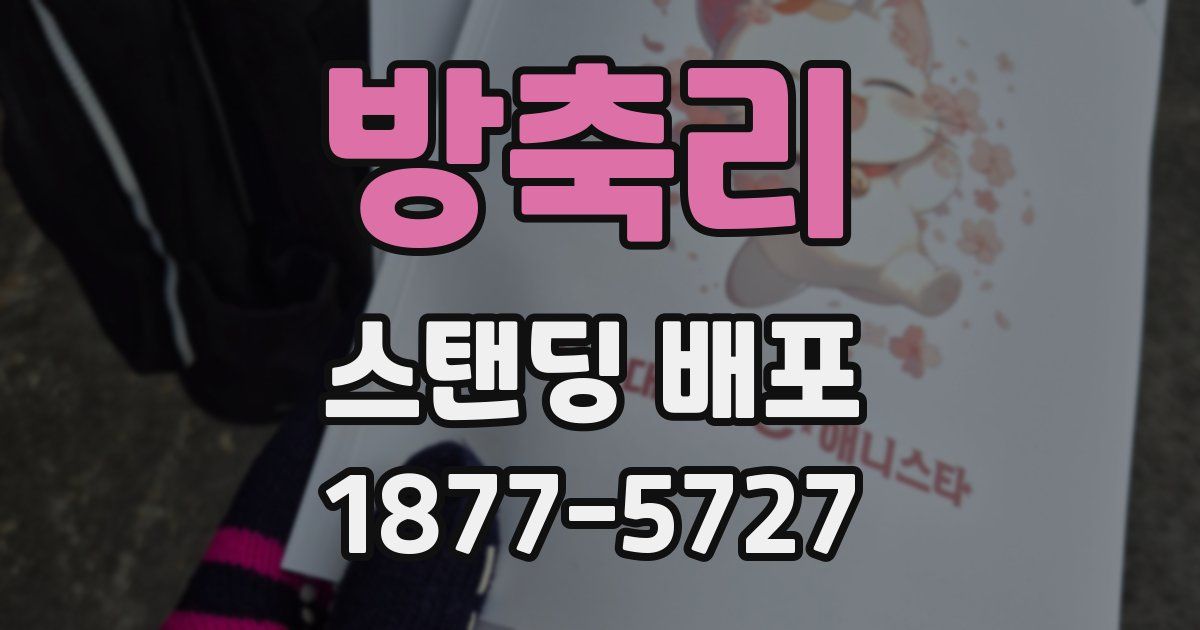 방축리 스탠딩 배포