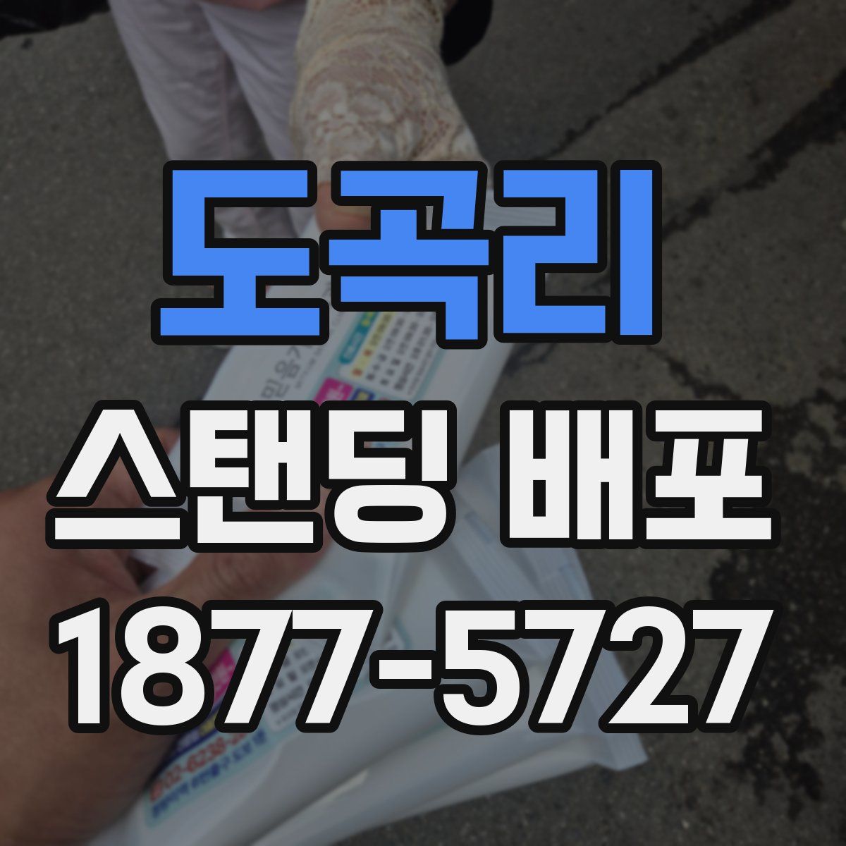 도곡리 스탠딩 배포