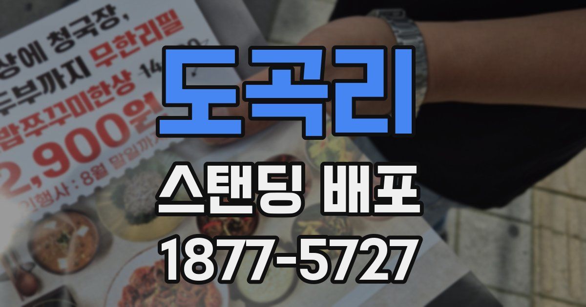 도곡리 스탠딩 배포