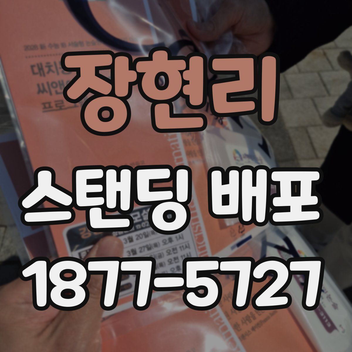 장현리 스탠딩 배포