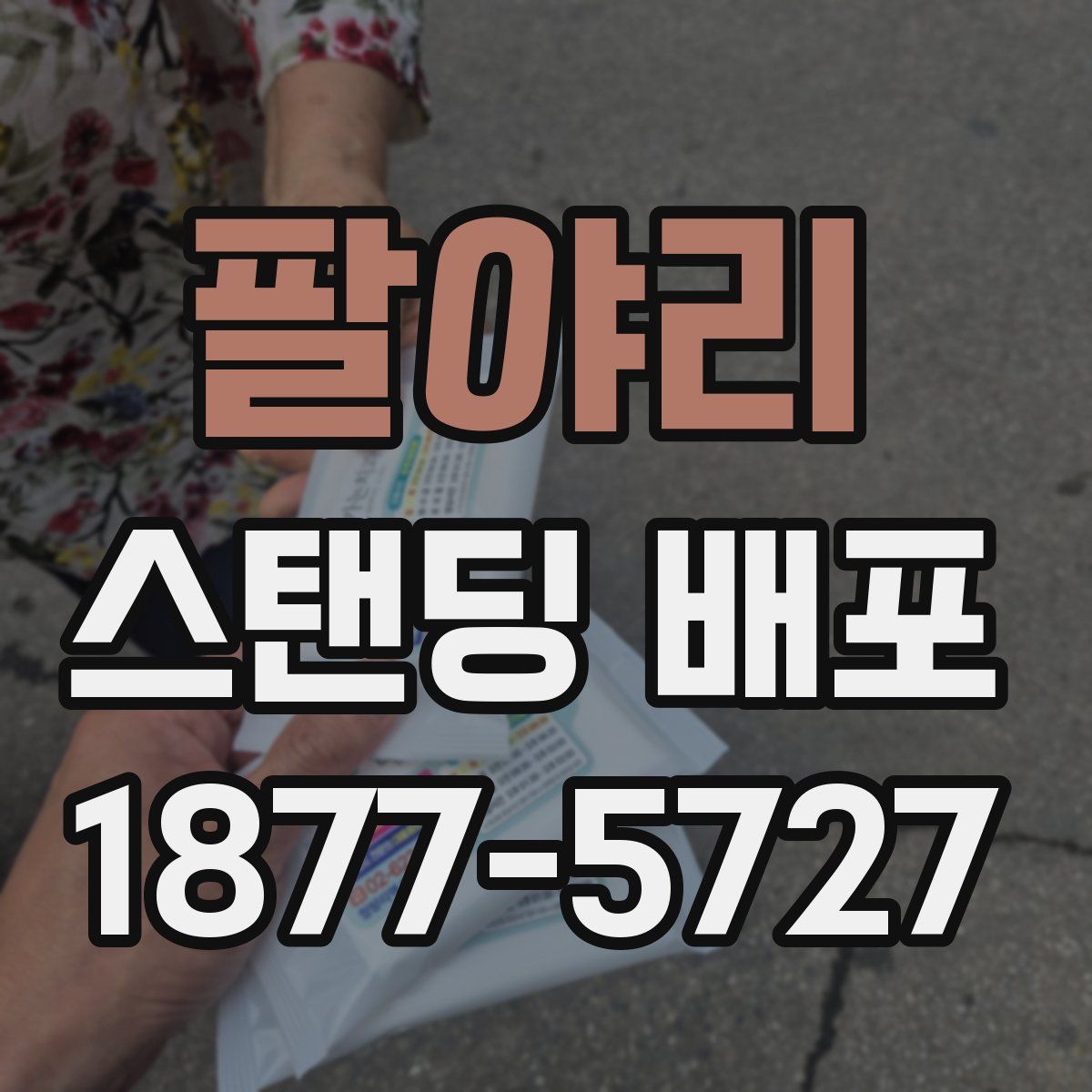팔야리 스탠딩 배포