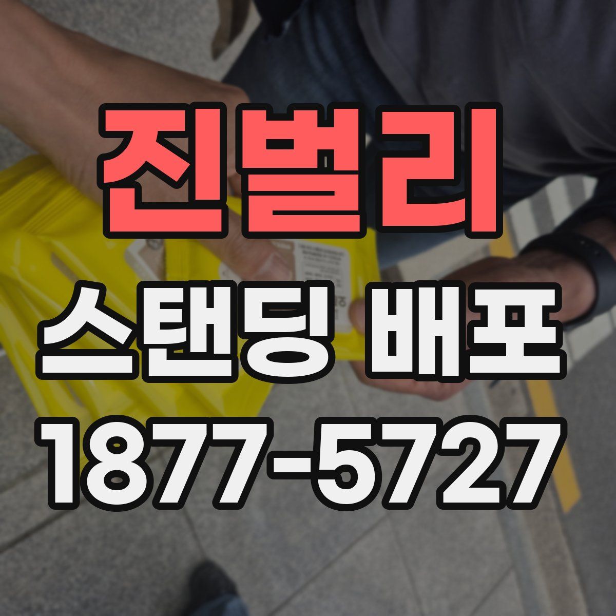 진벌리 스탠딩 배포