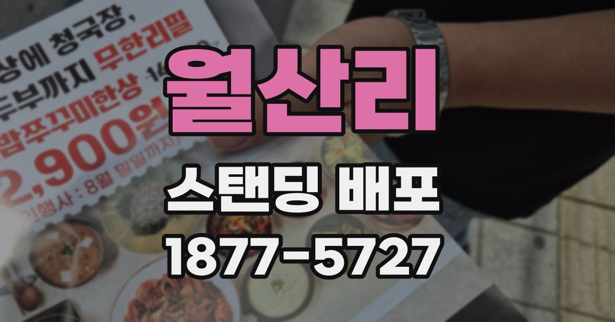 월산리 스탠딩 배포