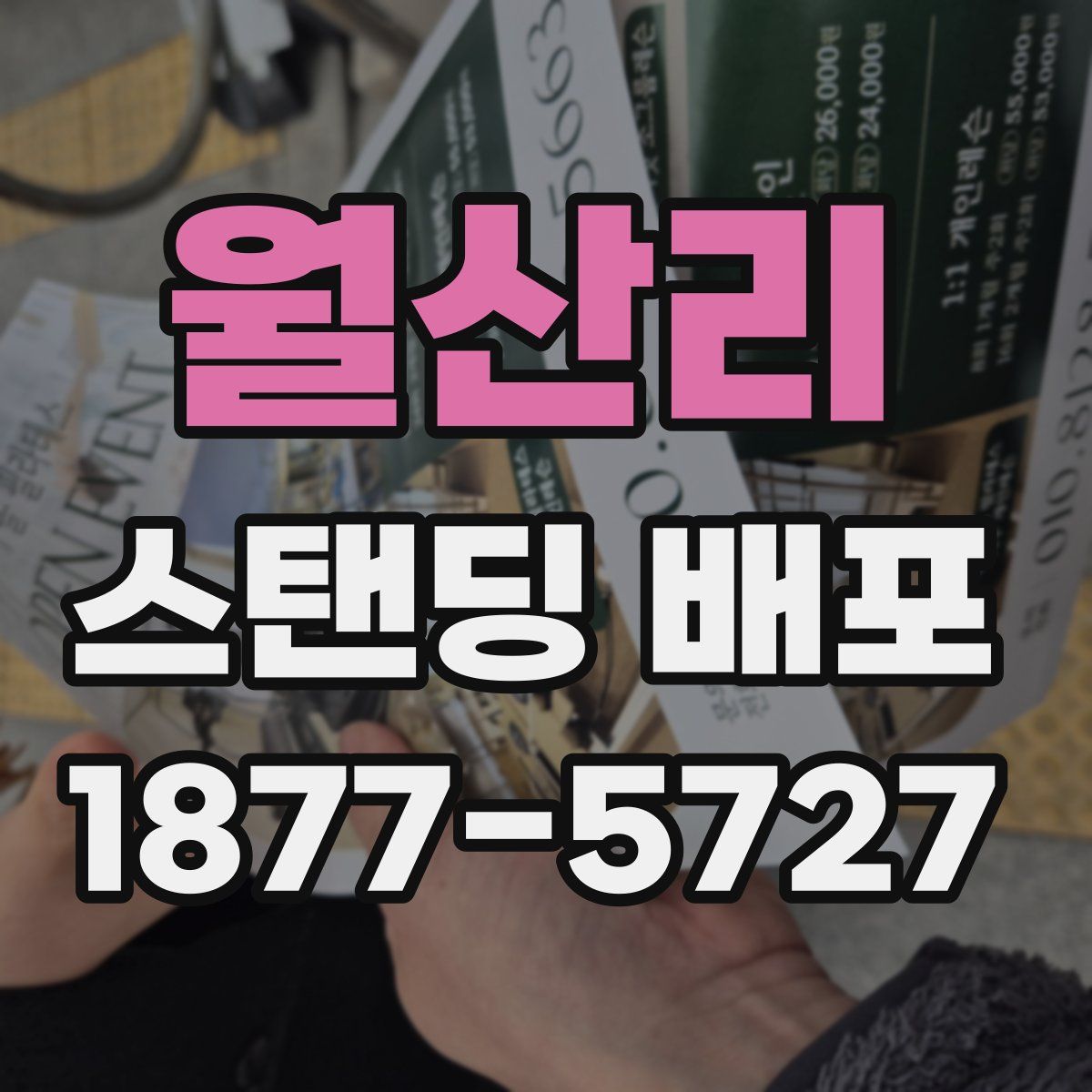 월산리 스탠딩 배포