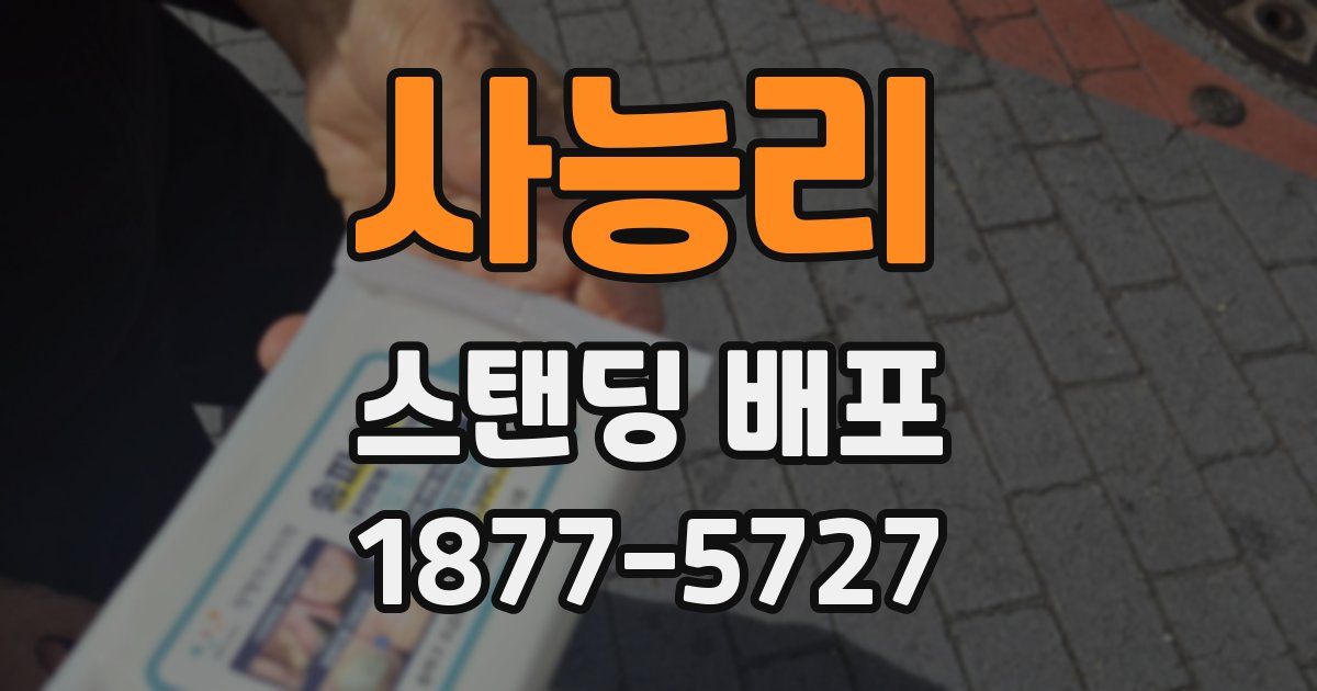 사능리 스탠딩 배포