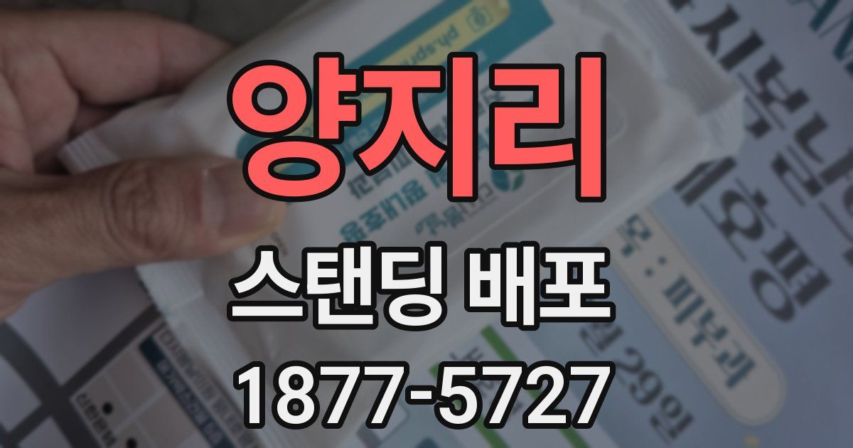 양지리 스탠딩 배포