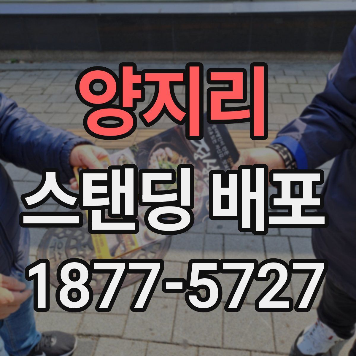 양지리 스탠딩 배포