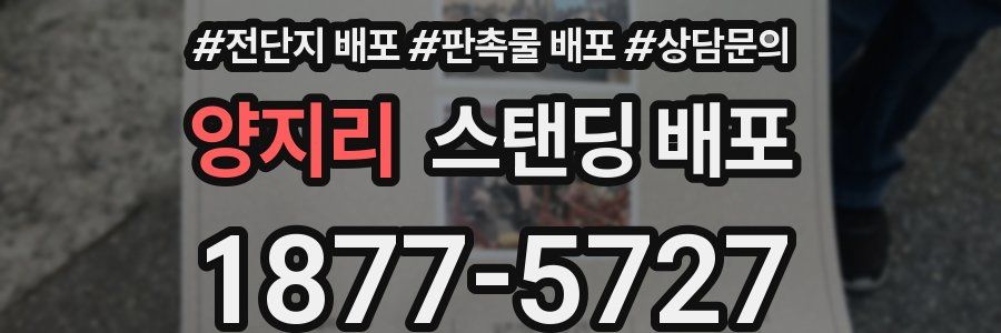 양지리 스탠딩 배포