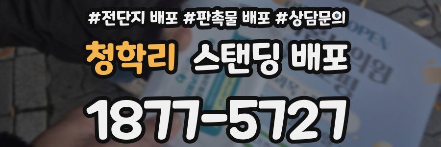 청학리 스탠딩 배포