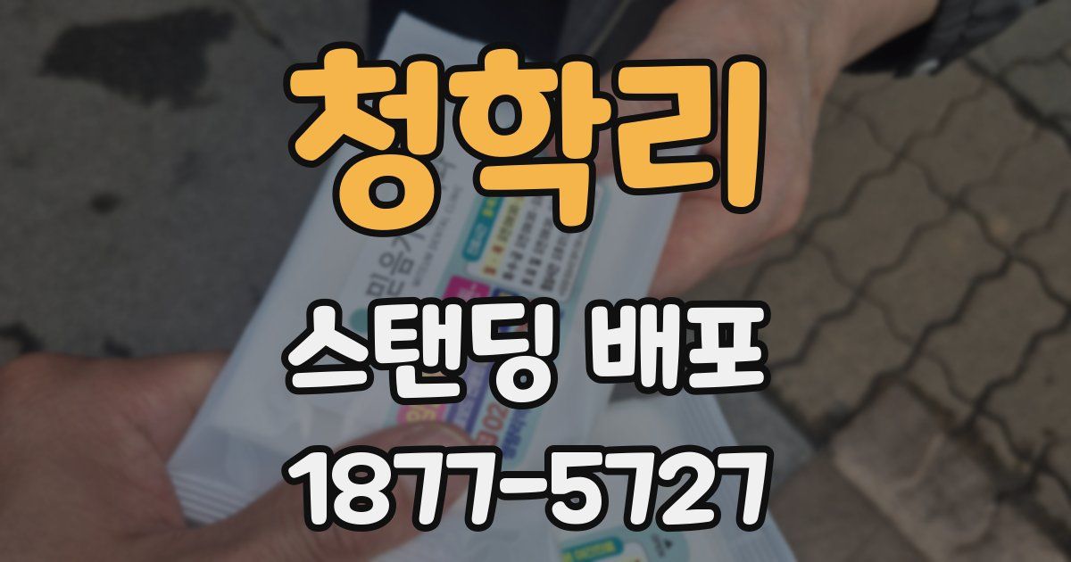 청학리 스탠딩 배포