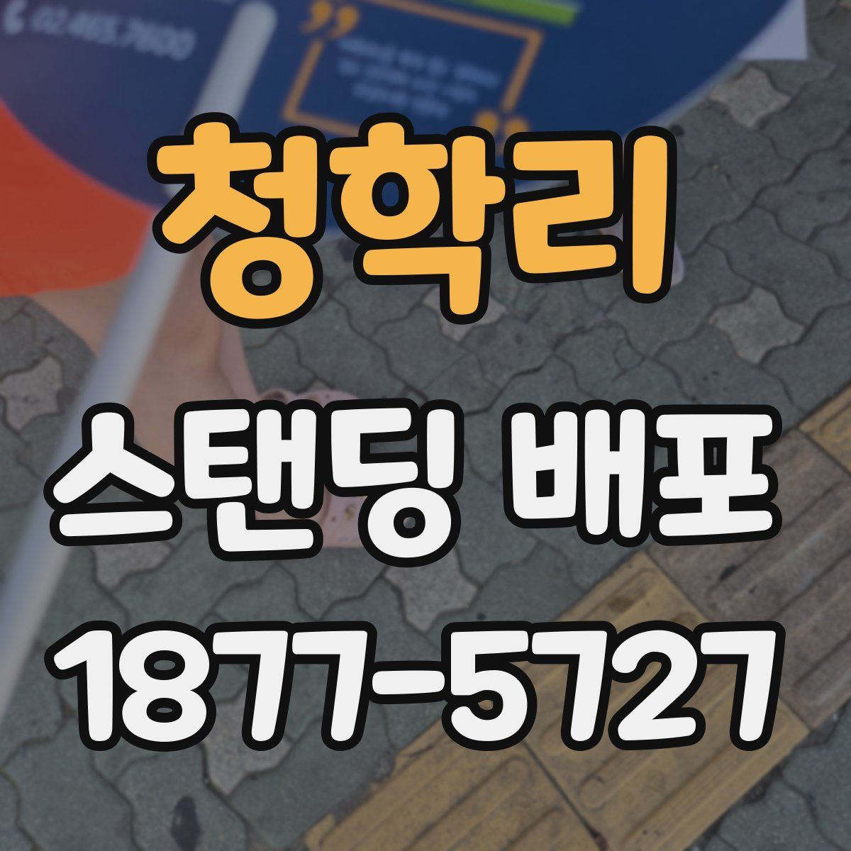 청학리 스탠딩 배포