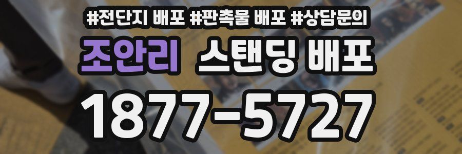 조안리 스탠딩 배포