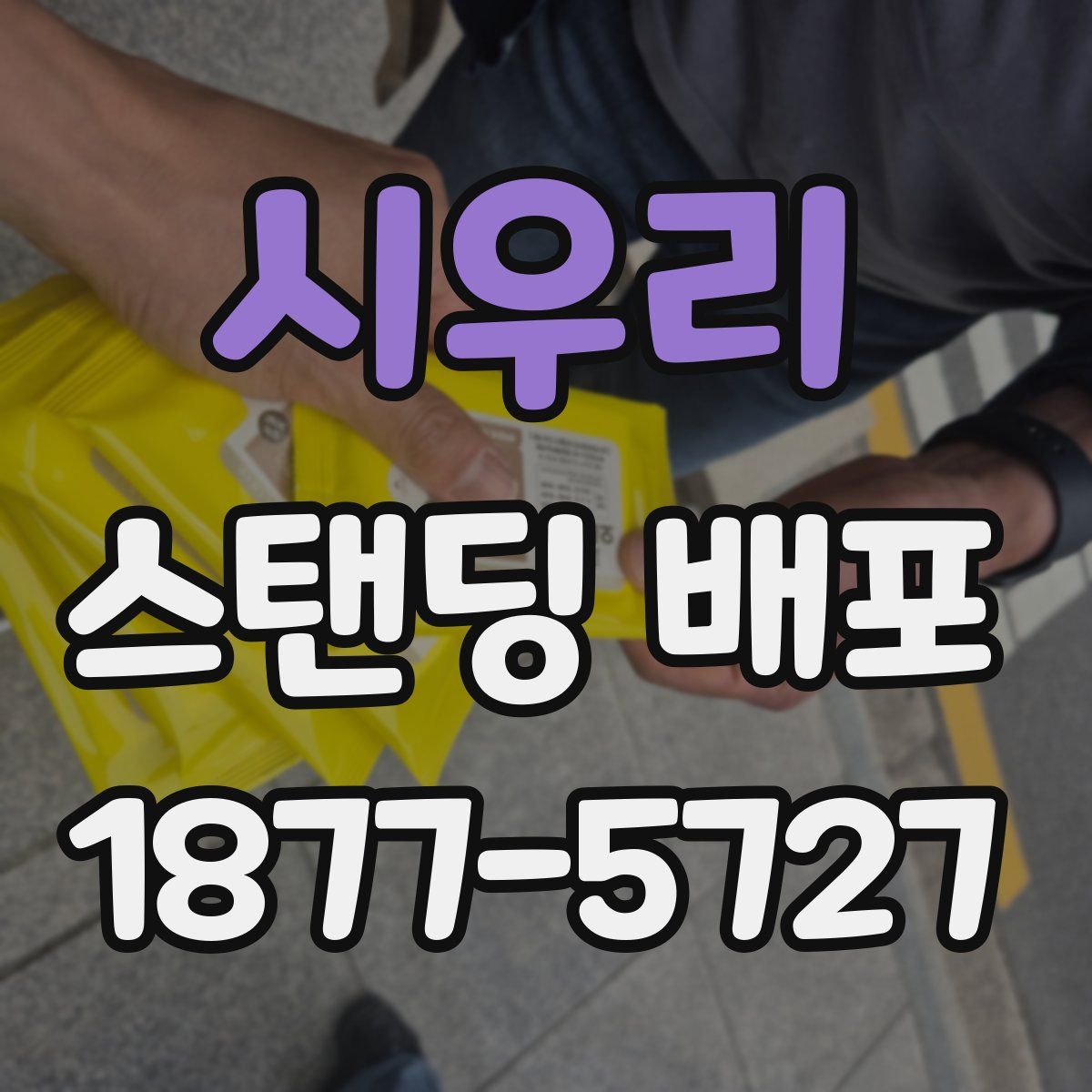 시우리 스탠딩 배포