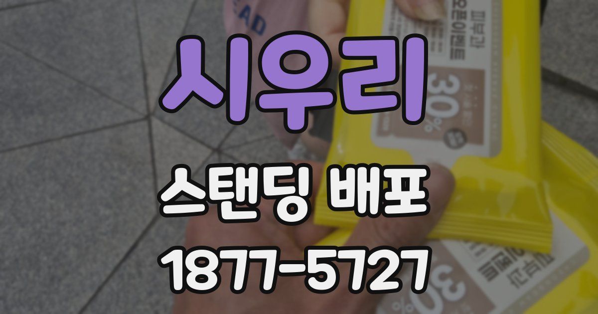 시우리 스탠딩 배포