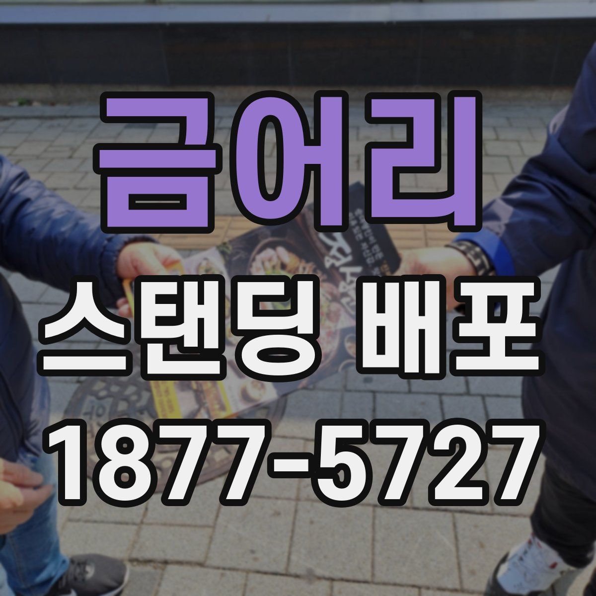 금어리 스탠딩 배포