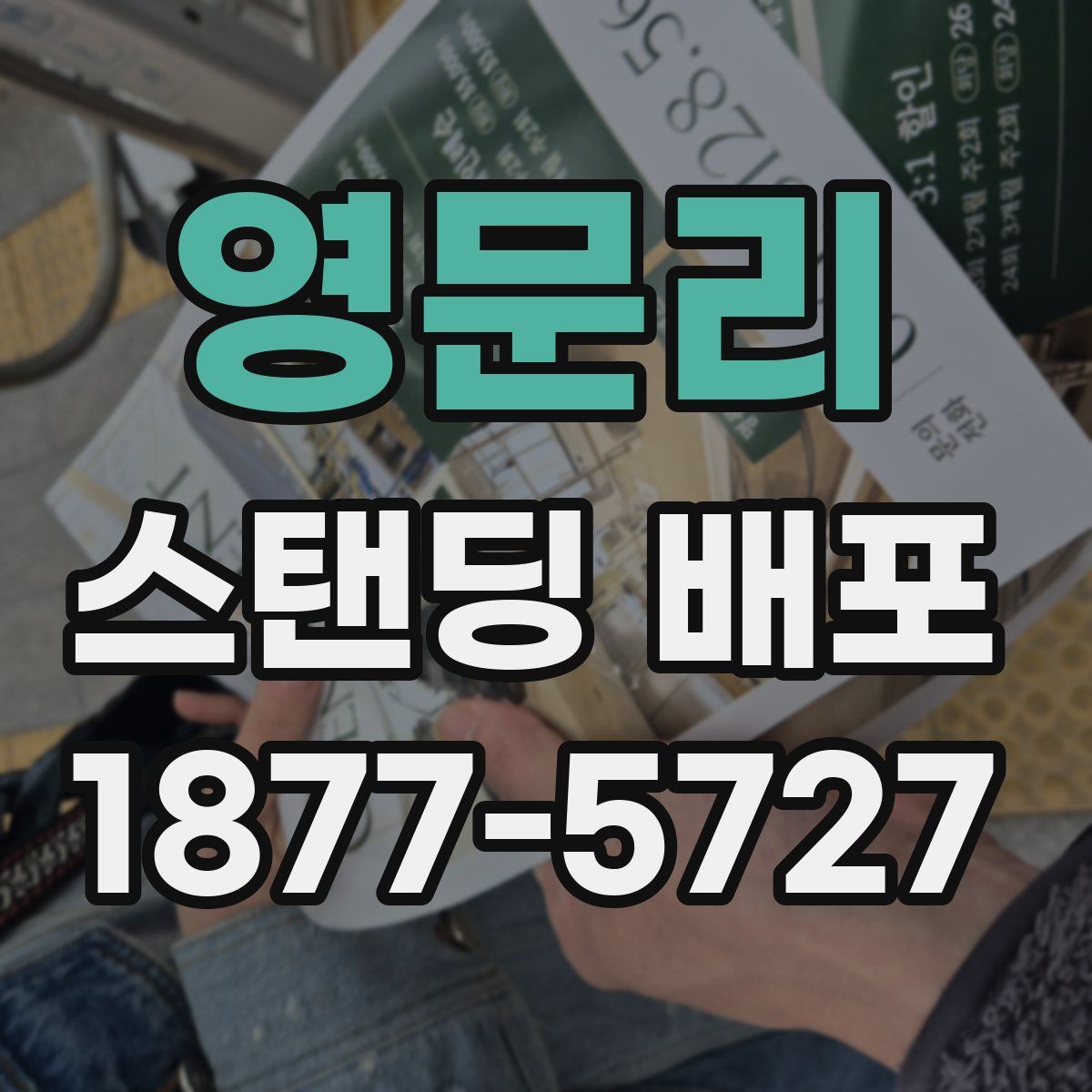 영문리 스탠딩 배포