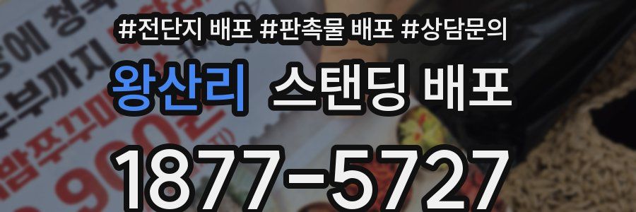 왕산리 스탠딩 배포