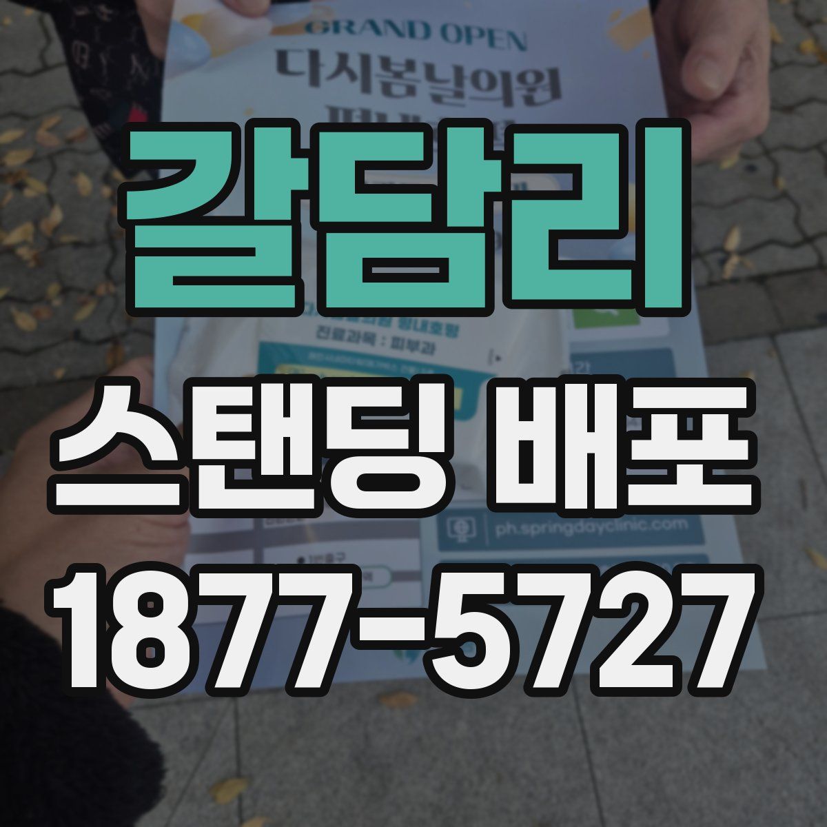 갈담리 스탠딩 배포