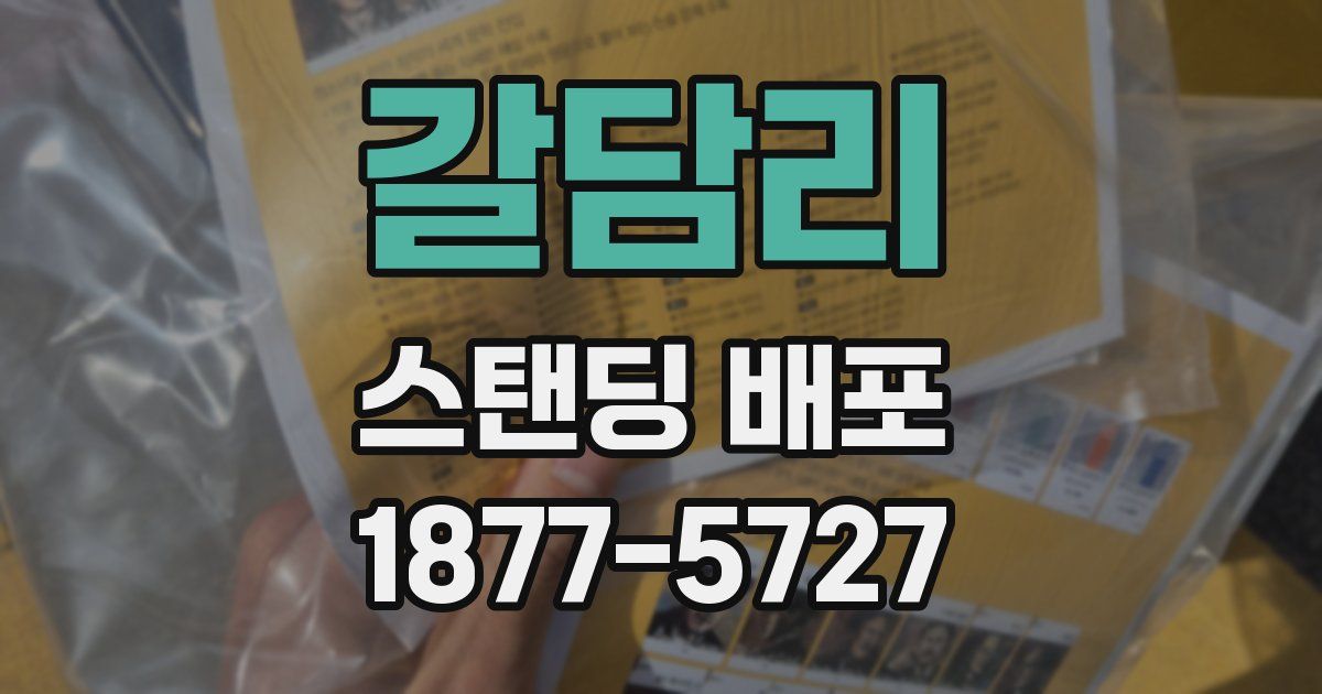 갈담리 스탠딩 배포