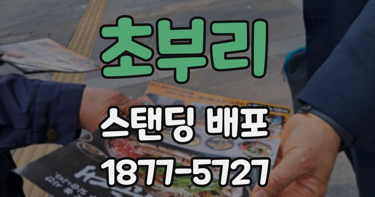 초부리 스탠딩 배포