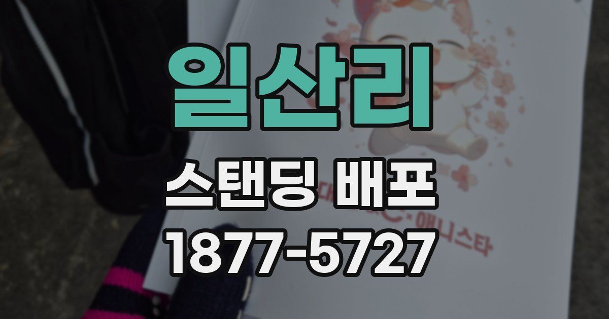 일산리 스탠딩 배포