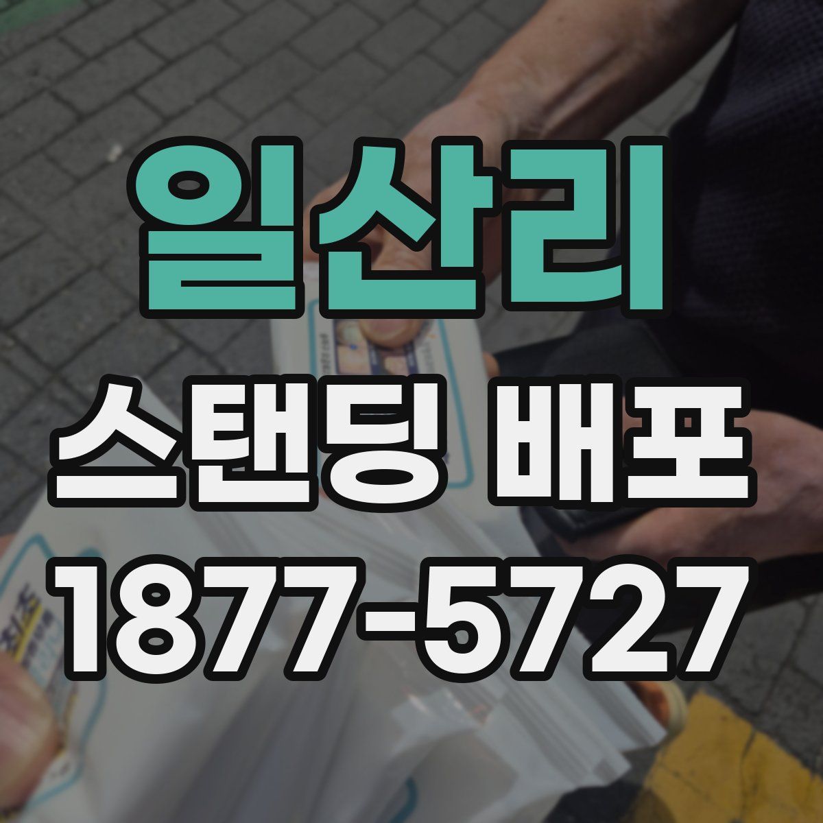 일산리 스탠딩 배포