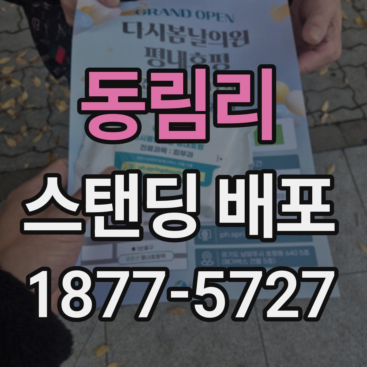 동림리 스탠딩 배포