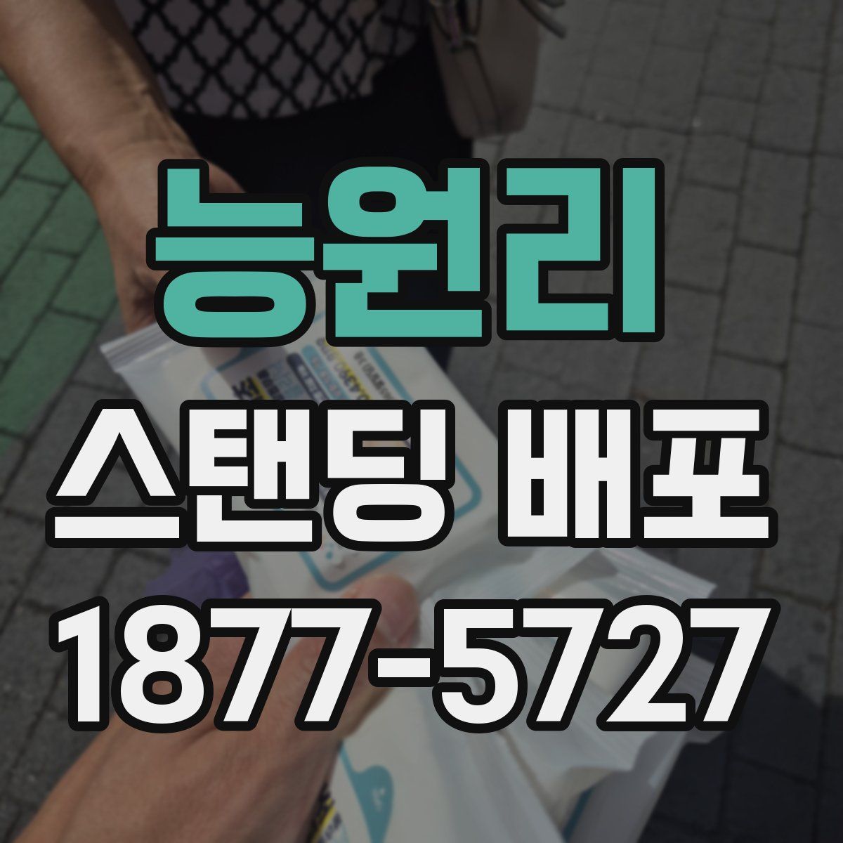 능원리 스탠딩 배포