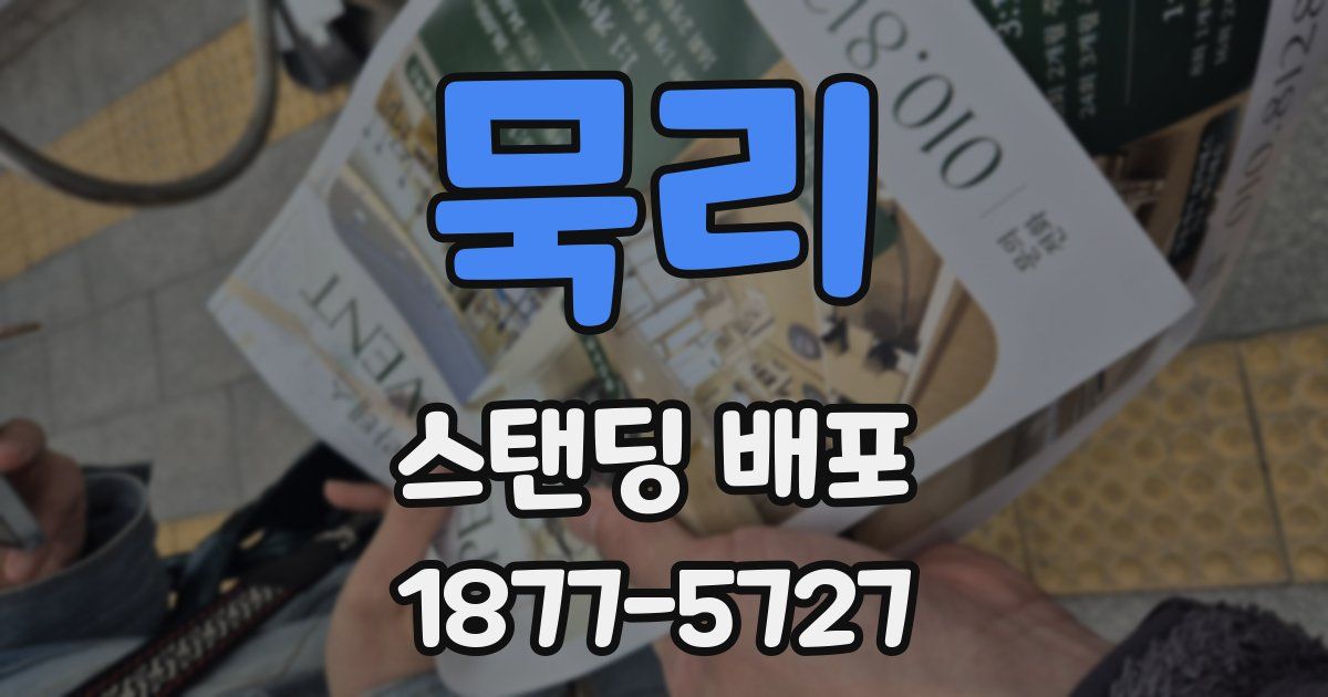묵리 스탠딩 배포