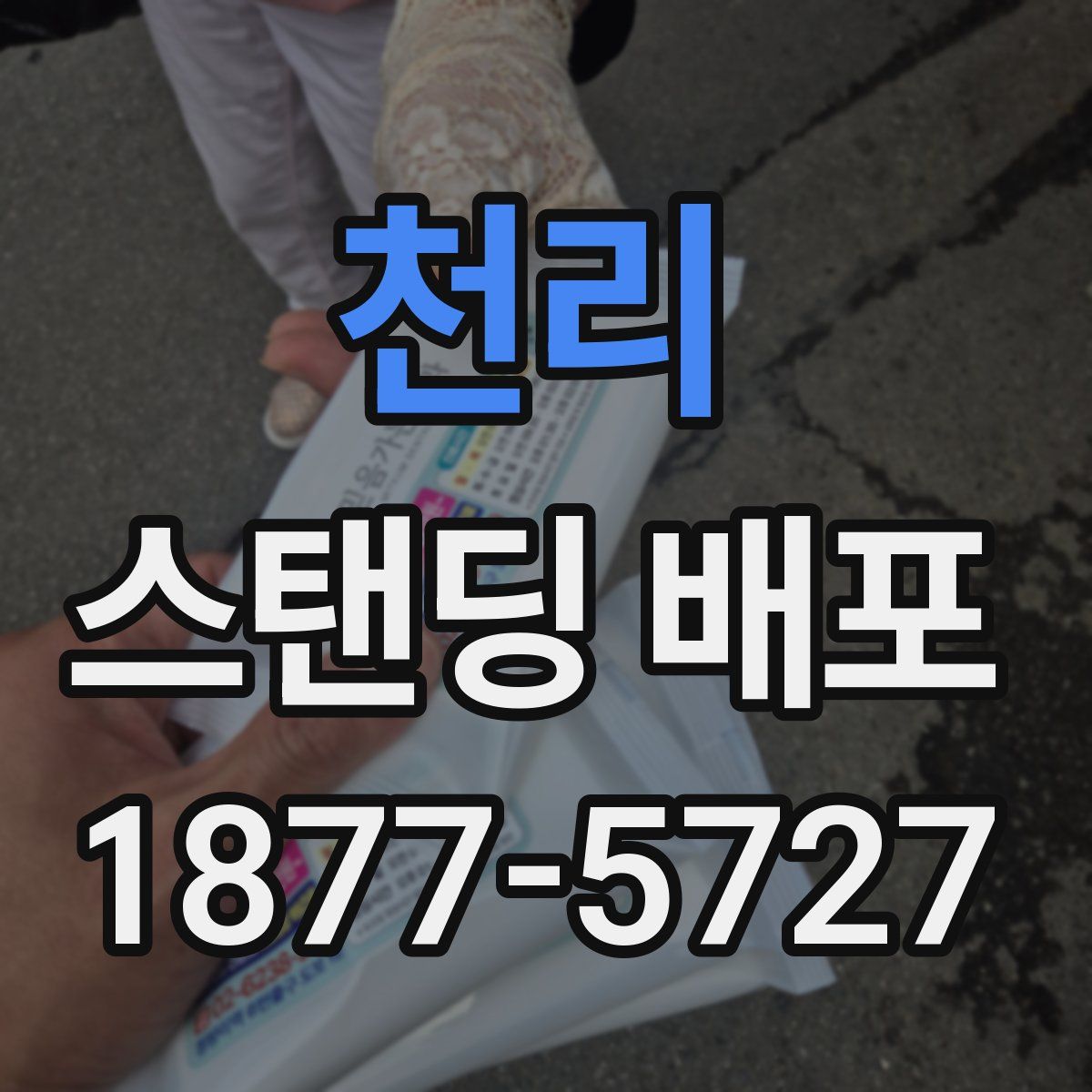 천리 스탠딩 배포