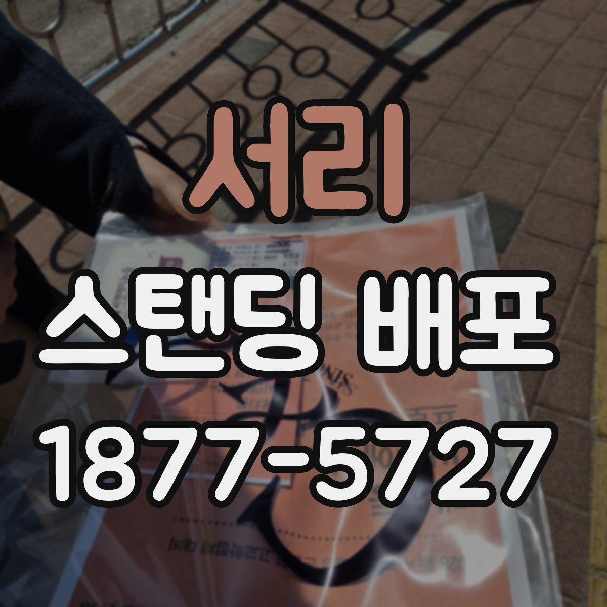 서리 스탠딩 배포