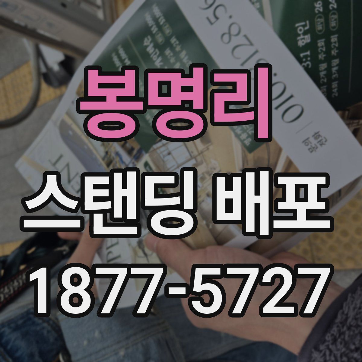 봉명리 스탠딩 배포