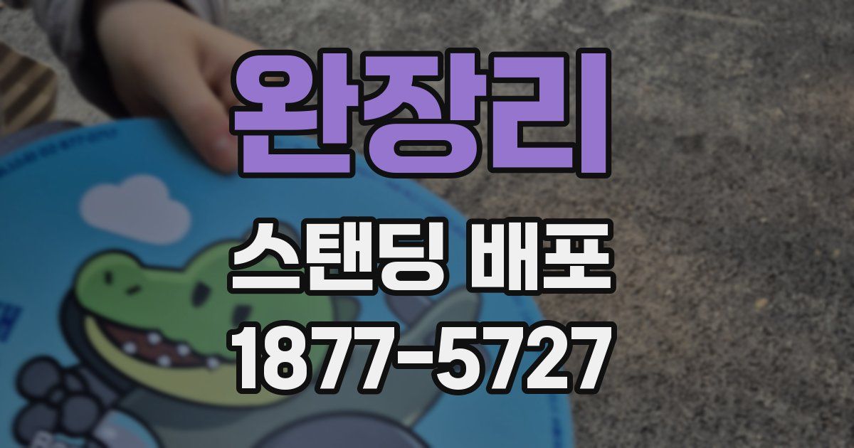 완장리 스탠딩 배포