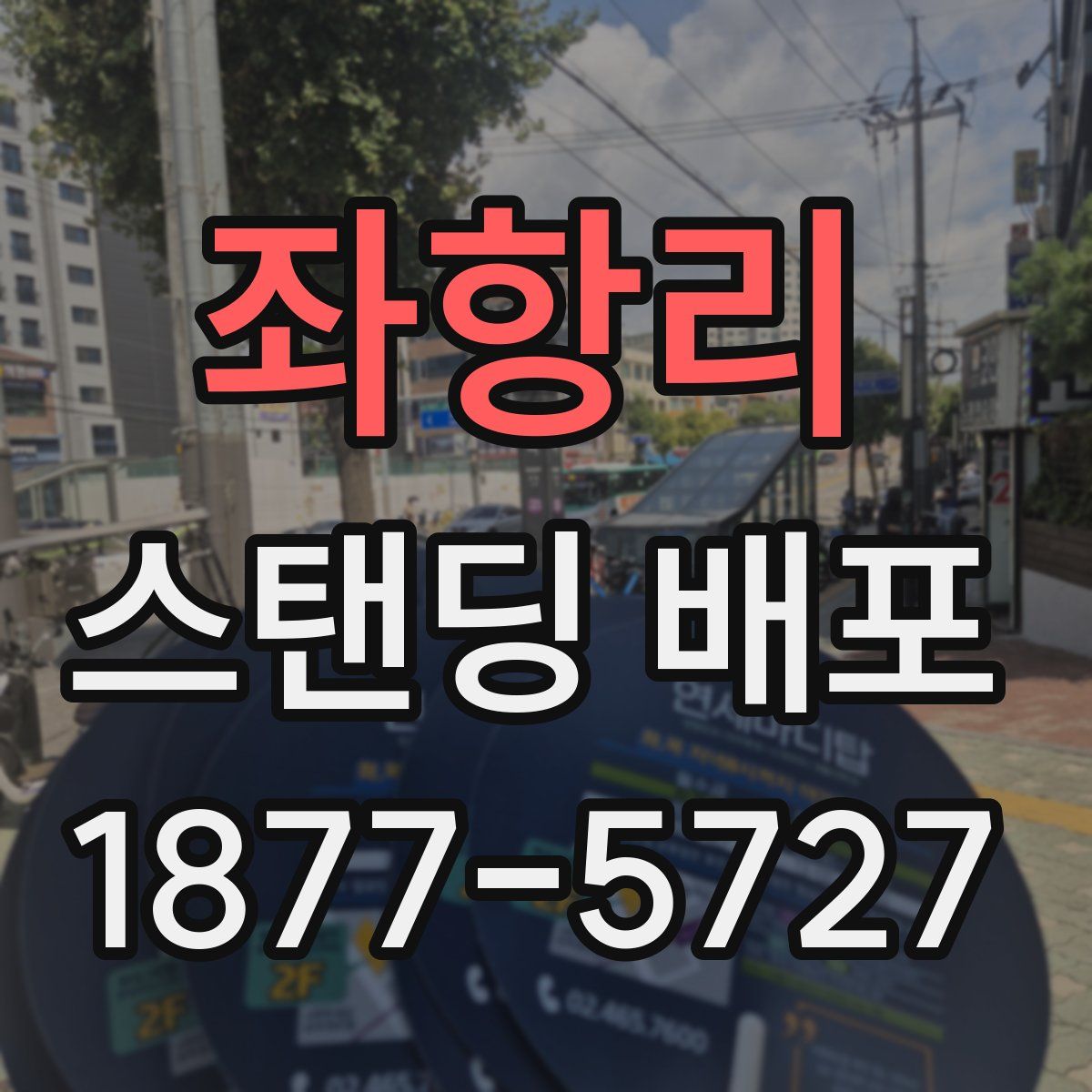 좌항리 스탠딩 배포