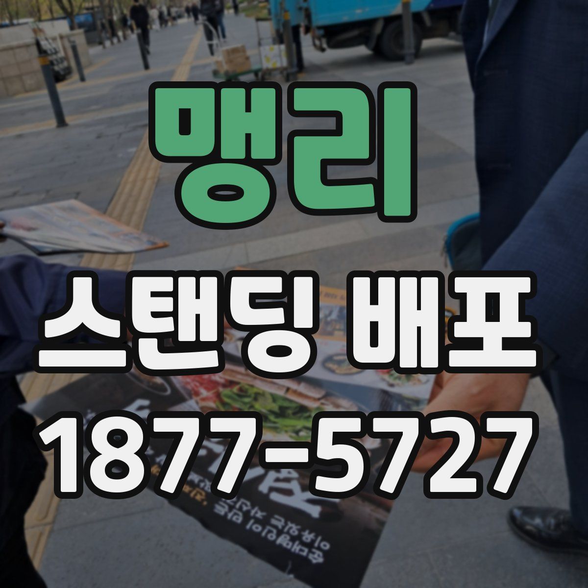 맹리 스탠딩 배포