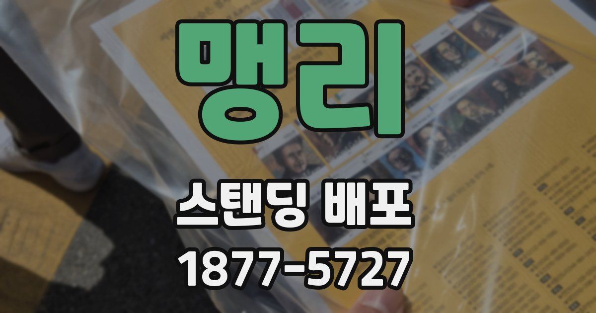 맹리 스탠딩 배포
