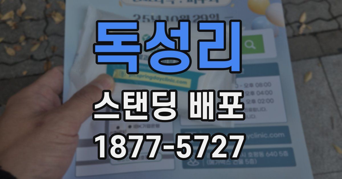 독성리 스탠딩 배포